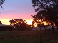 Echuca Club House